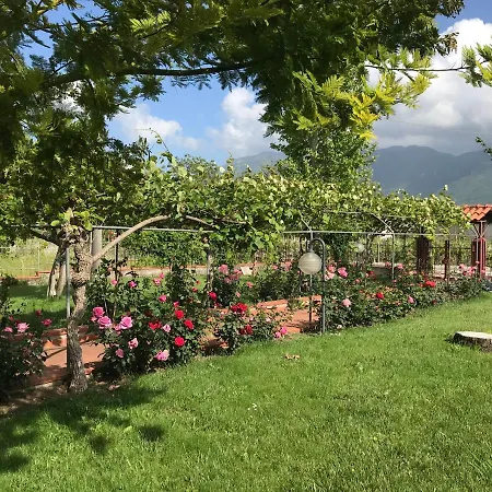 Guest house Alma Migrante Bed&wine