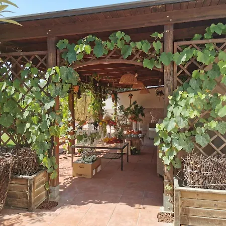 Alma Migrante Bed&wine