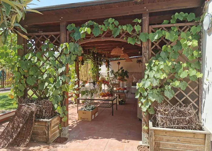 Alma Migrante Bed&wine